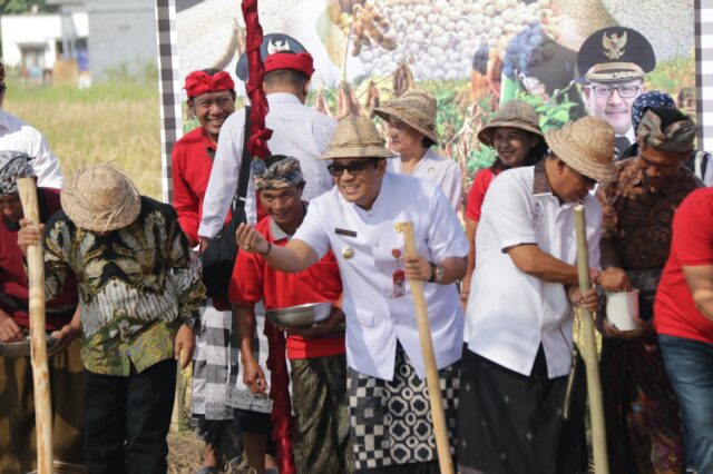 Bupati Sanjaya Bersama Walikota Malang Tanam Kedelai di Subak Gubug