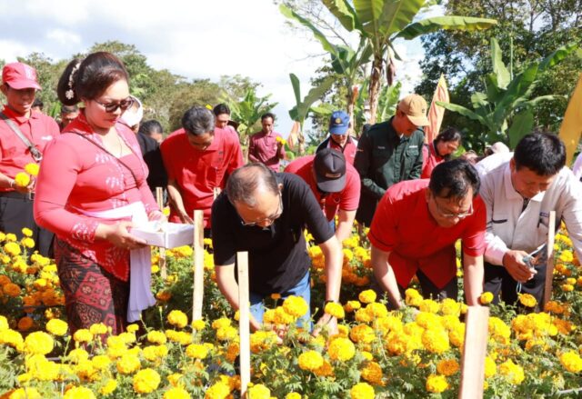 Gubernur Koster: Gemitir Bali Sudamala Bisa Menghasilkan Bunga