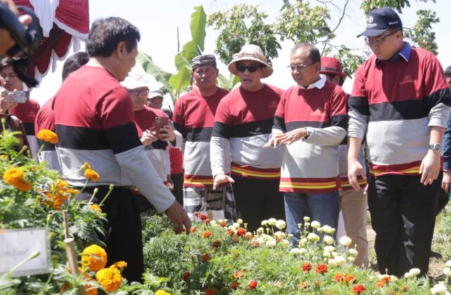 Gemitir Bali Sudamala: Inovasi Pertanian Mendukung Tingkatkan Ekonomi Masyarakat