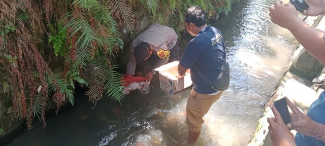 Penemuan Mayat Bayi di Saluran Irigasi Gegerkan Warga Abiantuwung