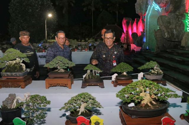 Lomba Bonsai