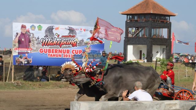 Pj. Gubernur Bali Dorong Pengembangan Makepung Sebagai Daya Tarik Wisata Budaya