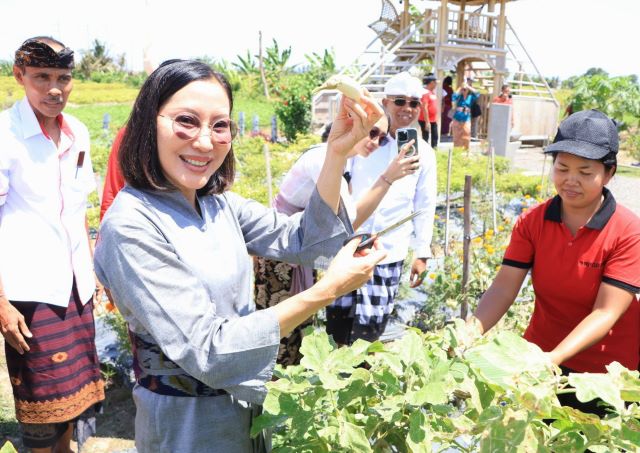 PJ. Ketua TP PKK Bali drg.Ida Mahendra Jaya Dorong Gerakan Penanaman Cabai di Pulau Bali