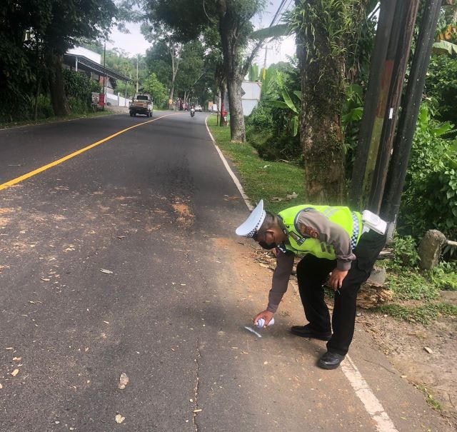 Tragis! Pengendara Motor Tewas Menabrak Pohon di Baturiti