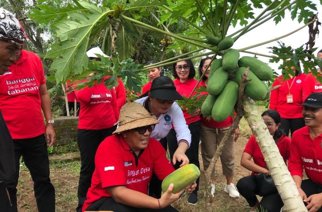 Bupati Tabanan Dorong Potensi Agrowisata Desa Megati