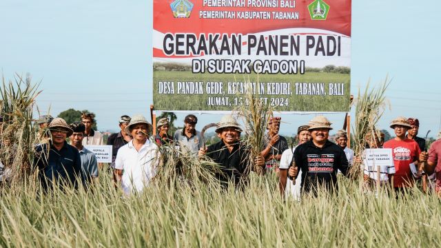 Dukung Penurunan Stunting, Pj. Gubernur Mahendra Jaya Dorong Penanaman Padi Inpari Nutri Zinc