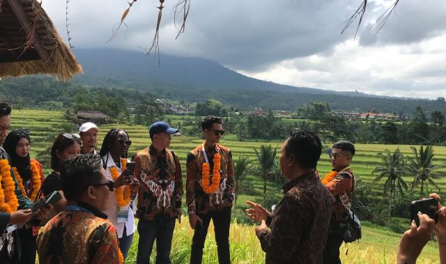 Subak Jatiluwih: Ikon Wisata Pemandangan Alam dan Budaya yang Mendunia