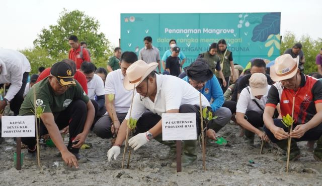 Tanam Mangrove