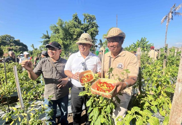 Pj Bupati Lihadnyana Ajak Pj Gubernur Bali Panen Cabai Bersama