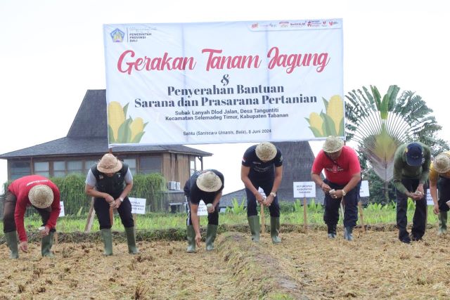 Sekda Dewa Indra Tegaskan Komitmen Pemprov Bali untuk Tingkatkan Produktivitas dan Kesejahteraan Petani