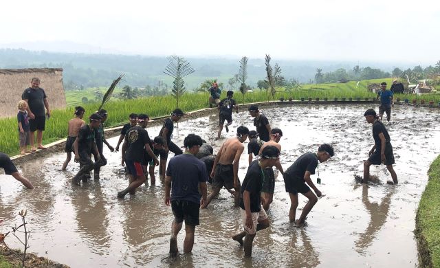 Subak Spirit Festival 2024 di Jatiluwih Pukau Wisatawan dengan Pesona Budaya Bali