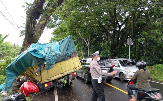 Hindari Tabrakan, Truk Angkut Jagung Hantam Pohon di Megati