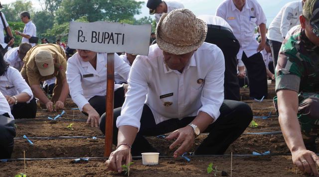 Pj Bupati Lihadnyana Ajak Perbekel Tanam Jagung dan Cabai Peringati Hari Desa Nasional