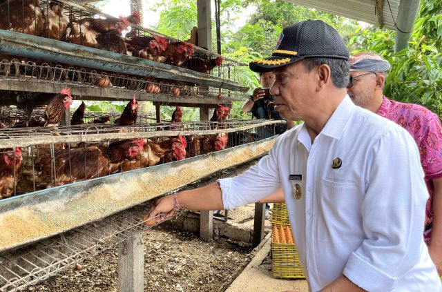 Pj Bupati Lihadnyana Serap Telur Lokal Peternak Desa Tajun