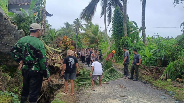 Mobil Tertimpa Pohon Kelapa di Tabanan Akibat Angin Kencang