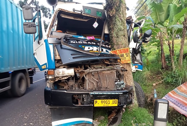 Diduga Rem Blong, Truk Muat 28 Ton Bata Putih Tabrak Pohon