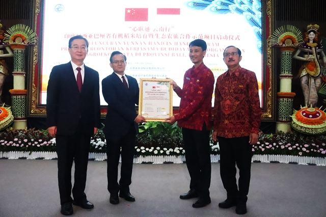 Pemprov Bali Apresiasi Peluncuran Proyek Percontohan Yunnan Hand in Hand untuk Padi Organik dan Agroekowisata