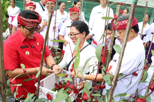 Rosella Bikin Bupati Sanjaya Terkesan, Ternyata Desa Apuan Punya Potensi