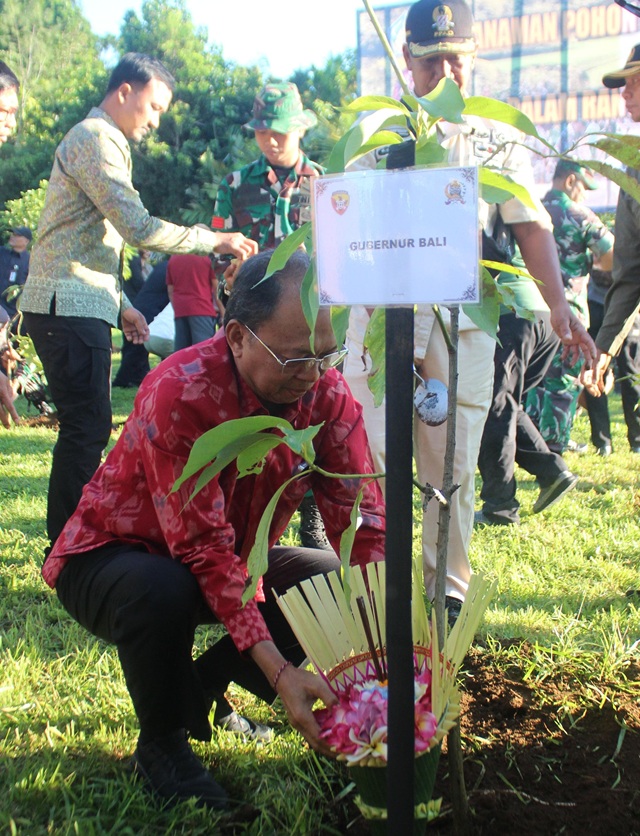 Tanam 19.000 Bibit Pohon Serentak di Bali, Gubernur Koster Ajak Menanam Harapan untuk Anak Cucu