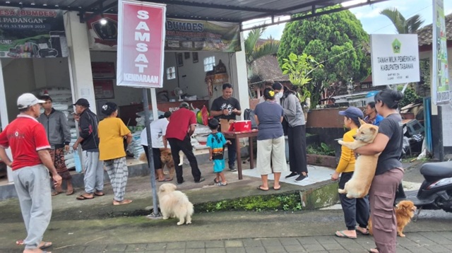 Vaksinasi Rabies Tabanan: Ratusan Anjing dan Kucing di Padangan Divaksin