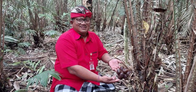 Idul Adha 2025: Dinas Pertanian Tabanan Dorong Penyembelihan Kurban di RPH