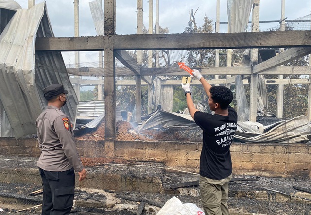Kebakaran Kandang Ayam di Pupuan, Kerugian Capai Rp 3,3 Miliar