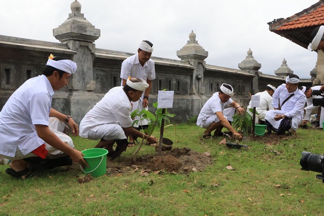 Gubernur Koster Peringati Tumpek Uye di Pura Sakenan, Tanam Pohon dan Lepas Tukik