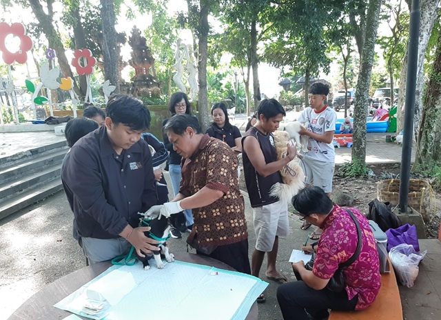 Tabanan Terendah Kasus Rabies di Bali Juli 2025