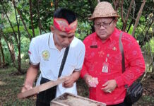 Rahasia Manis dari Tabanan! Madu Lebah Tanpa Sengat Klanceng Laris di Pasaran Rahasia Manis dari Tabanan! Madu Lebah Tanpa Sengat Klanceng Laris di Pasaran