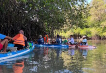 DKLH Bali Fokus Bersihkan 154 Ton Sampah Banjir di Kawasan Mangrove DKLH Bali Fokus Bersihkan 154 Ton Sampah Banjir di Kawasan Mangrove