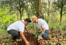 KPH Bali Utara Klarifikasi Isu Pembabatan Hutan di Desa Ambengan KPH Bali Utara Klarifikasi Isu Pembabatan Hutan di Desa Ambengan