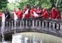 HUT ke-79 Megawati Diperingati di Tabanan Lewat Aksi Peduli Lingkungan HUT ke-79 Megawati