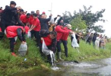 HUT Megawati ke-79, PDI Perjuangan Bali Rawat Danau Buyan HUT Megawati ke-79, PDI Perjuangan Bali Rawat Danau Buyan