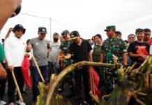 Bali Bersih Sampah Serentak, 27.500 Peserta Turun Aksi Gubernur Bali Wayan Koster memimpin Gerakan Bali Bersih Sampah di Pantai Padang Galak Denpasar bersama ribuan peserta dari TNI, Polri, ASN, pelajar dan masyarakat.
