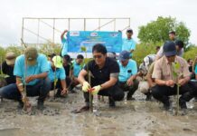 Giri Prasta Tanam 1.000 Mangrove Bersama SMSI di Tahura Ngurah Rai Wakil Gubernur Bali I Nyoman Giri Prasta menanam bibit mangrove bersama SMSI di Tahura Ngurah Rai Denpasar