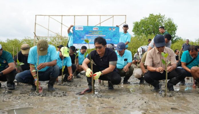 Wakil Gubernur Bali I Nyoman Giri Prasta menanam bibit mangrove bersama SMSI di Tahura Ngurah Rai Denpasar