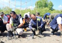 Koster Apresiasi Gerakan Tanam Mangrove Kemendagri, Tekankan Urgensi Atasi Abrasi di Bali Gubernur Bali Wayan Koster menanam mangrove di Mangrove Arboretum Park Denpasar