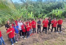 PDIP Tabanan Gerak Cepat Antisipasi Krisis Global, Perkuat Ketahanan Pangan Kegiatan konsolidasi PDIP Tabanan membahas ketahanan pangan dan penanaman singkong simbolis