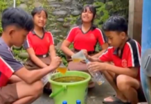 Inovasi POCARIS SDN 5 Gubug, Sulap Sampah Jadi Pupuk Organik Siswa SD Negeri 5 Gubug mengolah sampah organik menjadi pupuk cair menggunakan tong komposter