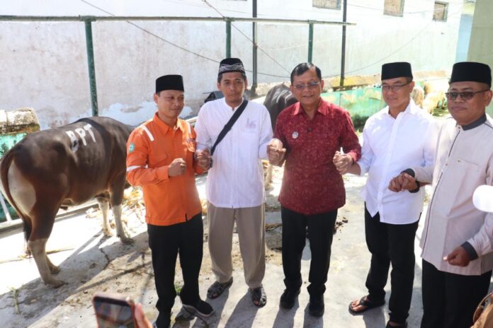 Bupati Buleleng I Nyoman Sutjidra menyerahkan hewan kurban di Masjid Agung Jami Singaraja
