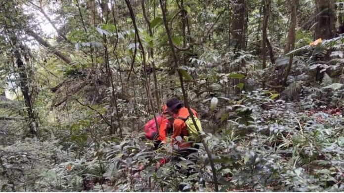 Tim gabungan melakukan pencarian pendaki lansia di kawasan Gunung Batukaru, Tabanan