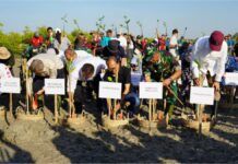 Menteri LH dan Koster Tanam Mangrove, Perkuat Bali Hadapi Perubahan Iklim Menteri Lingkungan Hidup Mohammad Jumhur Hidayat dan Gubernur Bali Wayan Koster melakukan penanaman mangrove