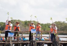Koster Perluas Mangrove Bali, Penanaman Rutin Digelar Setiap Bulan Gubernur Bali Wayan Koster bersama Menteri Lingkungan Hidup, Menteri Kelautan dan Perikanan, dan jajaran pemerintah melakukan penanaman mangrove di Ekowisata Batu Lumbang, Tahura Ngurah Rai, dalam peringatan Hari Mangrove Sedunia 2026.