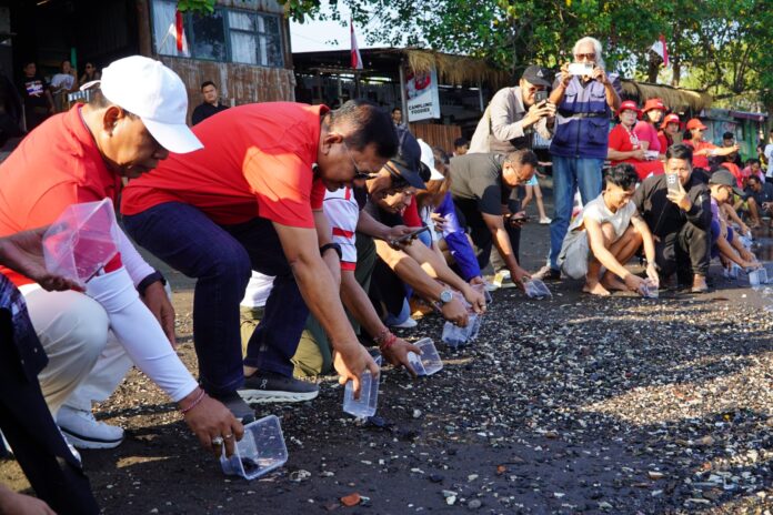 Bupati Buleleng I Nyoman Sutjidra melepas 100 tukik di Pantai Camplung Banyuasri untuk pelestarian penyu
