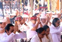 Bupati Sanjaya Hadiri Bhakti Penganyar di Pura Tuluk Biyu Batur Bupati Tabanan I Komang Gede Sanjaya menghadiri Bhakti Penganyar di Pura Tuluk Biyu Batur