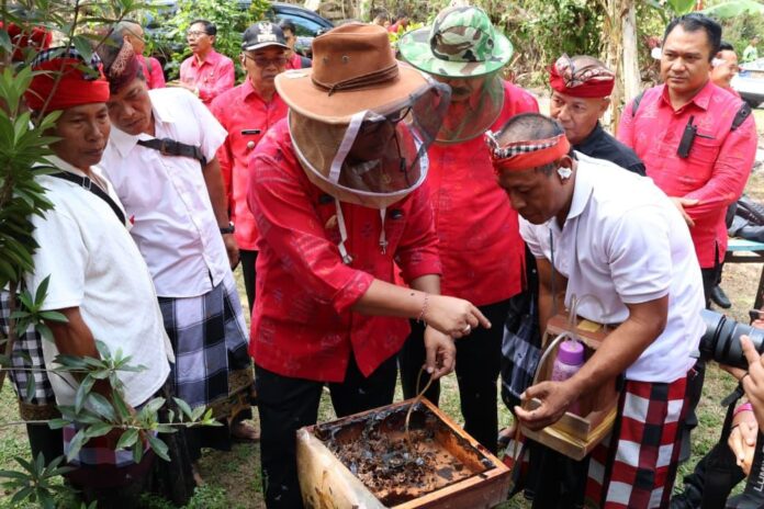Bupati Tabanan I Komang Gede Sanjaya panen madu klanceng saat Bungan Desa ke-64 di Lalanglinggah