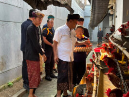 Panen 90 Telur Sehari, Warga Binaan Lapas Tabanan Belajar Mandiri Lewat Peternakan Warga Binaan Lapas Tabanan Panen Telur dari Peternakan Ayam Petelur