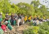 Aksi Bersih Mangrove Pesanggaran Kumpulkan 3,56 Ton Sampah Aksi bersih sampah plastik di hutan mangrove Pesanggaran Denpasar mengumpulkan 3,56 ton sampah menjelang Tumpek Wayang 2026.