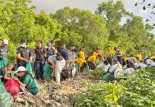 Aksi Bersih Mangrove Pesanggaran Kumpulkan 3,56 Ton Sampah Aksi bersih sampah plastik di hutan mangrove Pesanggaran Denpasar mengumpulkan 3,56 ton sampah menjelang Tumpek Wayang 2026.
