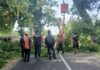 BPBD Kabupaten Tabanan mengimbau pemangkasan pohon rawan tumbang dan pembersihan saluran air untuk mengantisipasi bencana selama musim hujan 2026–2027.